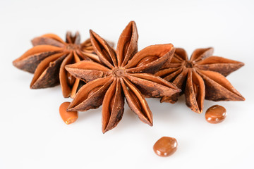 Star anise spice. Two dry star anise fruits with seeds on white background. Macro close-up of illicium verum or chinese badiane.