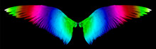 Color Wings On A Black Background