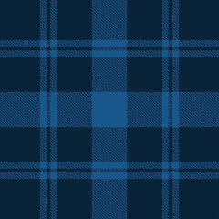 Beautiful classic blue plaid pattern vector