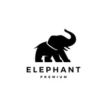 Elephant Logo Vector Icon Illustration