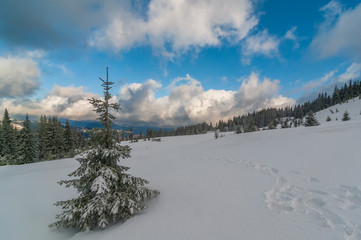 Poster - Beautiful winter landscape