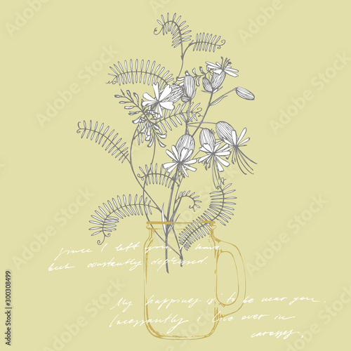 Branch of wild plant Vicia cracca. Tufted Vetch or Vicia cracca, vintage engr...