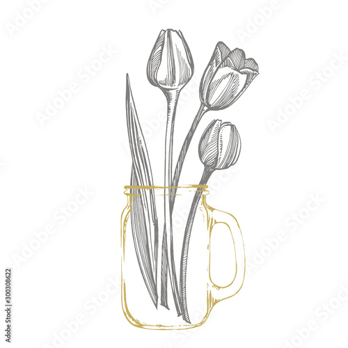 Tulip flower graphic sketch illustration. Botanical plant illustration. Vinta...