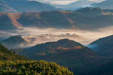 Canvas Print - Beautiful morning high in the Carpathian mountains