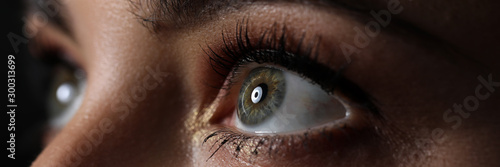 Cuadros en Lienzo Amazing female green and grey coloured eye