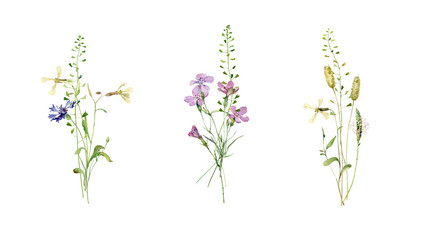 Small watercolor bouquets of wildflowers on a white background. For greetings, invitations, weddings, birthday and anniversary