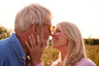 © Monkey Business - Loving Mature Couple In Countryside About To Kiss Against Flaring Sun