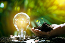 Hand Holding Light Bulb Against Nature, Icons Energy Sources For Renewable,