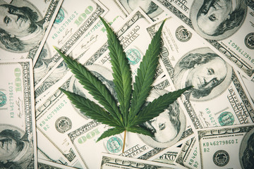 Marijuana Leaf and US Dollar Banknotes. Marijuana business concept. CBD Medical Marijuana Dollar THC Cannabis.