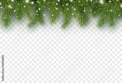 Cuadros en Lienzo Border with green fir branches isolated on transparent background