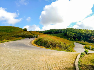 road in the countryside