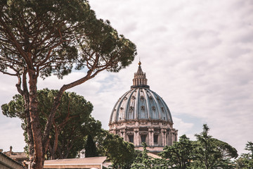 Wall Mural - dome of st peters basilica in rome