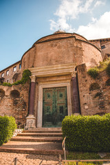 Wall Mural - Foro Romano, Rome, Italy