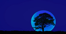 Lone Tree With Blue Moon - "Elements Of This Image Furnished By NASA"
