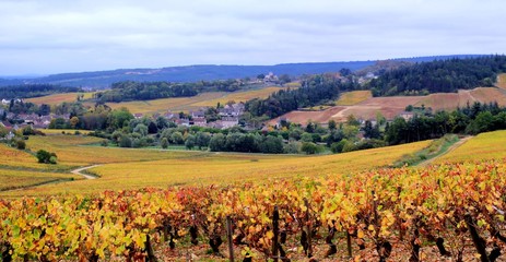 Poster - Côte Chalonnaise aux couleurs de l'automne.