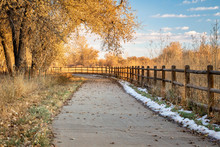Late Fall Scenery On A Bike Trail With Cottonwood Trees