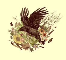 Hand Drawn Watercolor Vintage Style Illustration With Raven.