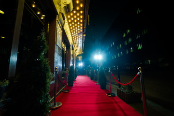 Red Carpet for cinema awards and Fashion Awards ceremony for celebrities persons