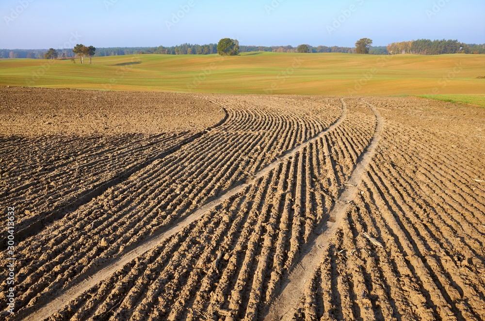 View of a plowed field in warm morning sun - obrazy, fototapety, plakaty 