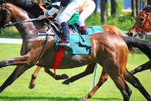 Detailed Shot Of A Horse Race