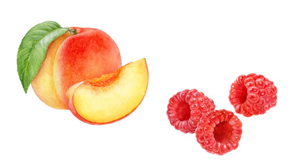 Wall Mural - Peach raspberry set watercolor isolated on white background