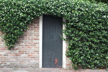 Brick Wall With Green Door Surrounded By Ivy