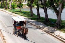 Horses Carriage Taxi In Gibara Cuba Summer