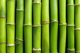 Fototapeta Sypialnia - Green bamboo stems as background, top view