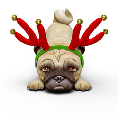 Wall Mural - dog pug cartoon with a christmas hat wants to play