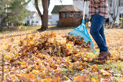 Fotomural Man raking leaves in the backyard in autumn