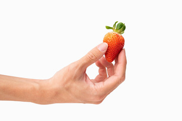 closeup of holding one fresh strawberry in hand with white background