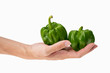 © xxxstudio - closeup of holding two fresh green pepper in hand with white background