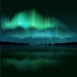 Northern lights, aurora borealis, vector realistic illustration
