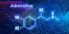 Chemical Molecular Formula Hormone Adrenaline. Infographics Illustration.