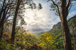 Lamington national park moran falls track look out landscape  sunset cloudy Queensland Australia