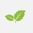 mint leaf element vector icon. green mint leaves vector symbol