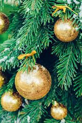 Wall Mural - Green fir tree with golden balls. Christmas wallpaper.