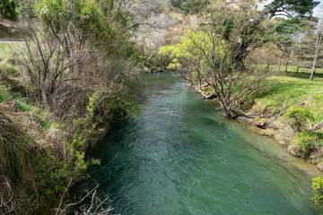 Wall Mural - Clean clear green river with tree lined river banks