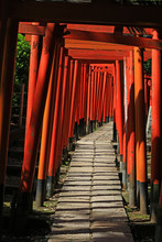 A Shrine Approach Made Up Of Many Vibrant Scarlet Torii Gates