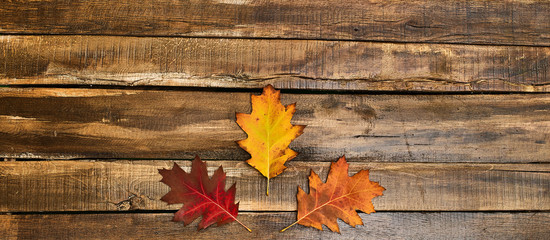 Wall Mural - Autumn maple leaves on top view wooden table.