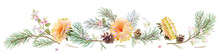 Panoramic View: Yellow Chrysanthemum (golden-daisy, Aster, Daisy), Pine, Cones, Spring Blossom. Horizontal Border For Christmas, White Background. Botanical Illustration, Watercolor Style, Vector