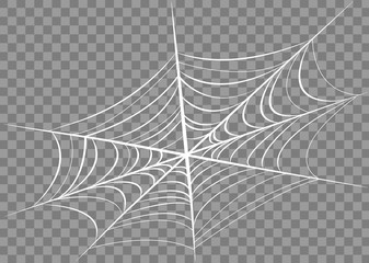 Spider web isolated on transparent background.