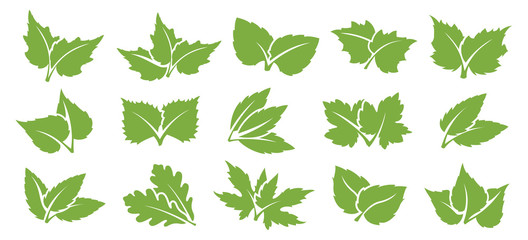 Wall Mural - Green leaf set