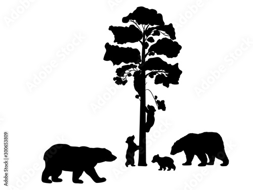 Bear Cub Silhouette Stock Photos And Royalty Free Images Vectors And Illustrations Adobe Stock Bear Cub Silhouette Stock Photos And Royalty Free Images Vectors And Illustrations Adobe Stock