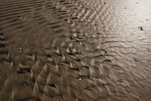 Relief Surface Of Wet Sand