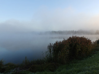 Wall Mural - The misty landscape of bare trees near the river covered with tooth