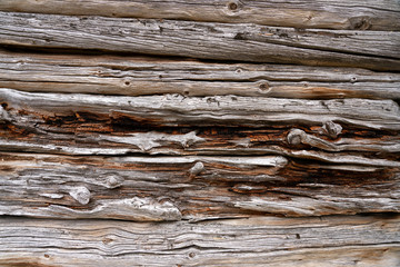 Wall Mural - Wooden rustic and aged closeup shot of barn wall. Backdrop and background concept.