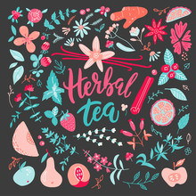 Herbal Tea Vector Illustration. Big Set With Herbal And Berry, Fruit Ingredients. Wild Flowers. Hand Drawn Trendy Doodle Scandinavian Sketch Collection.
