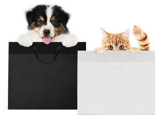 Wall Mural - puppy dog and cat pets together showing  black and silver shopping bags isolated on white background blank template and copy space, black friday and cyber monday concept