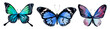 Butterfly watercolor, clipart butterflies